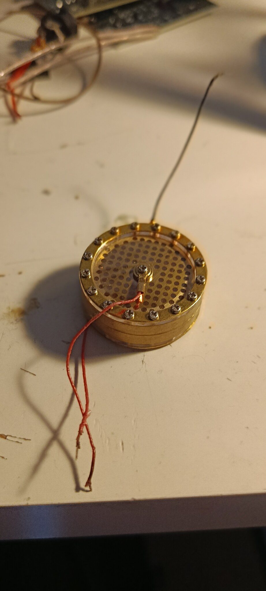 The capsule on its own, gold membrane visible